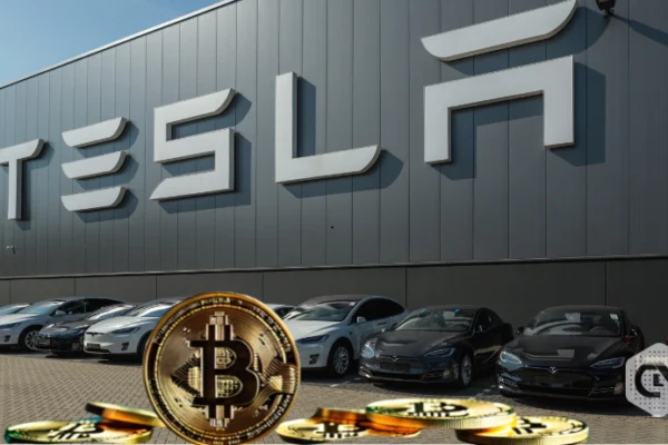Tesla Maintains Bitcoin Hoard in Q2 Financial Report